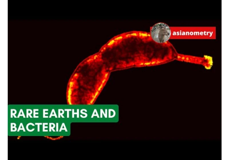 Can We Use Bacteria to Refine Rare Earths?