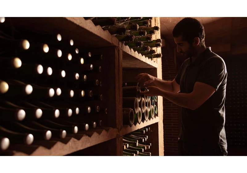 How to Build a Wine Cellar on a Budget, According to an Expert