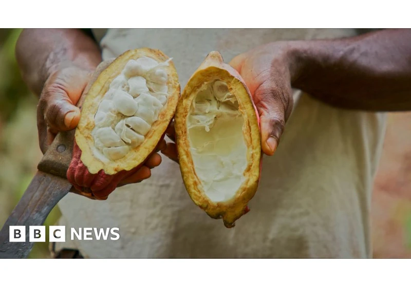 Have Swiss scientists made a chocolate breakthrough?