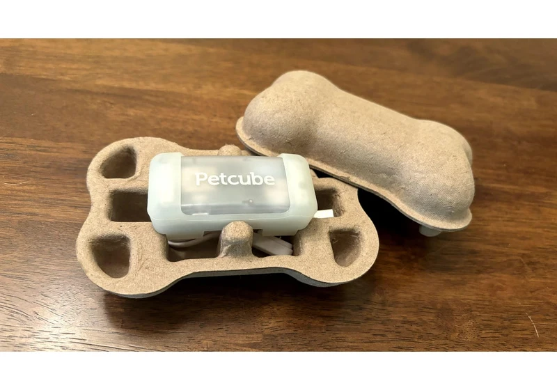 PetCube's Glowing Pet Tracker Is an Interesting Collar Upgrade