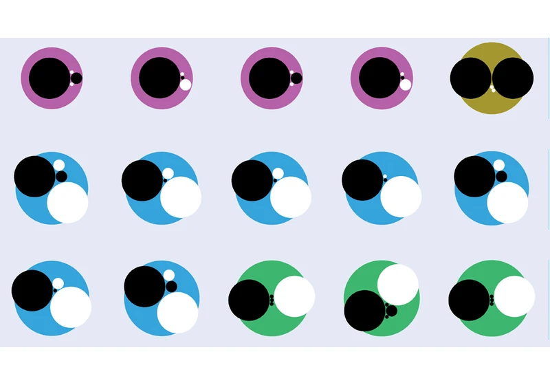 A bestiary of exotic hadrons: the 23 exotic hadrons discovered at the LHC so far