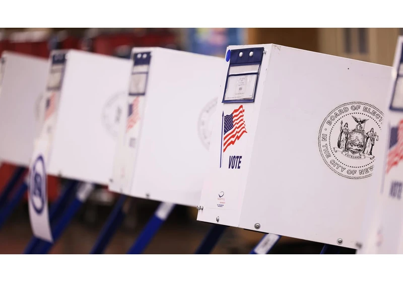 Worried You Were Purged From Voter Rolls? What to Know About Looking up Your Registration