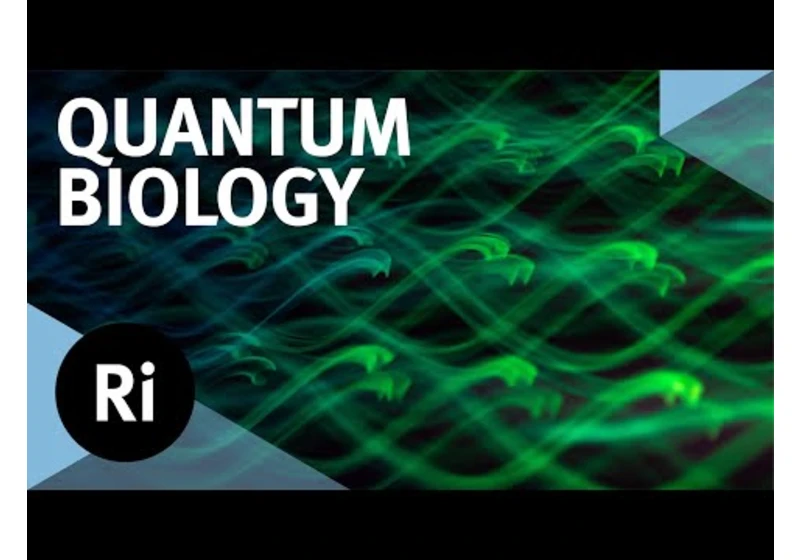 A future with quantum biology - with Alexandra Olaya-Castro