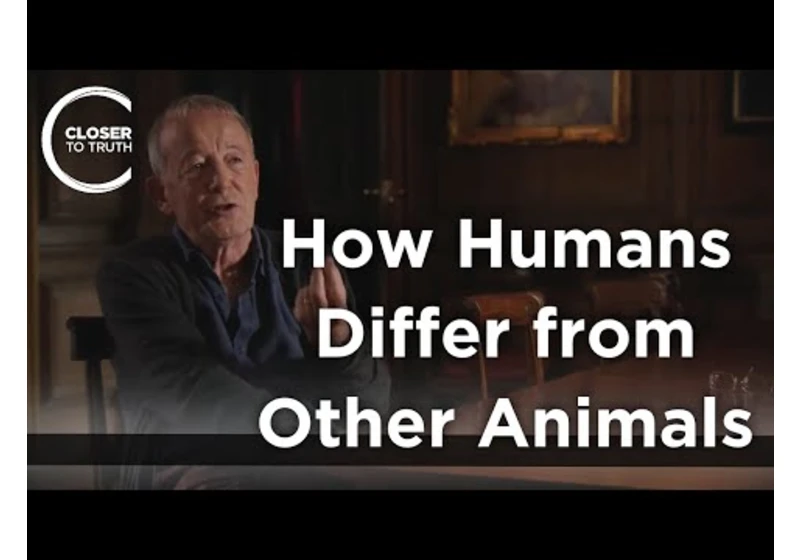 Nicholas Humphrey - How Humans Differ from Other Animals