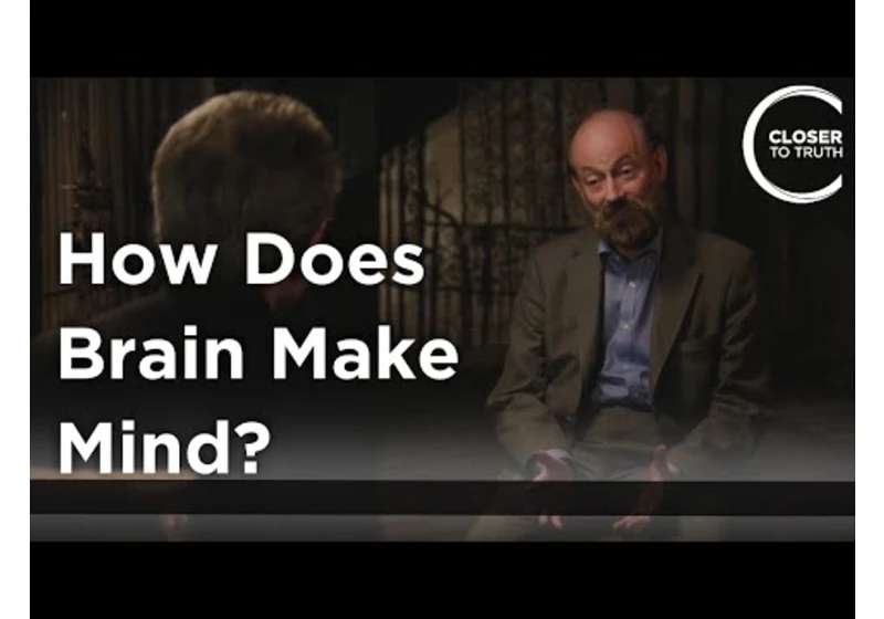 Raymond Tallis - How Does Brain Make Mind?