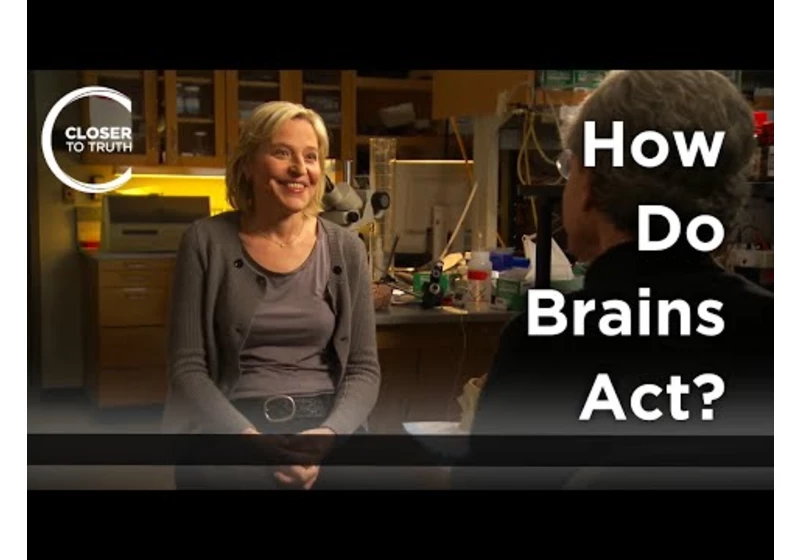 Kelsey Martin - How Do Brains Act?