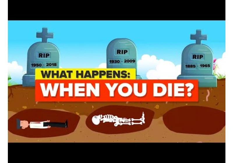 What Happens When You Die? And More Death Facts And Explanations (Compilation)