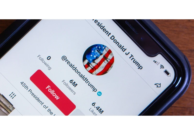 TikTok's algorithm exhibited pro-Republican bias during 2024 presidential race