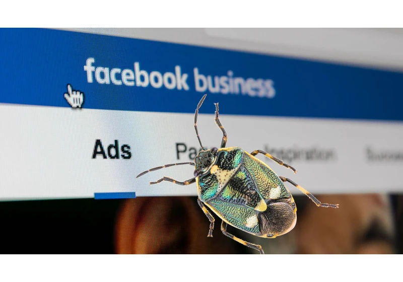 More Facebook Ads bugs unnerve advertisers ahead of Black Friday, Cyber Monday