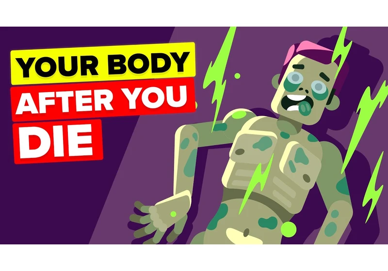 What Happens to Your Body After You Die?