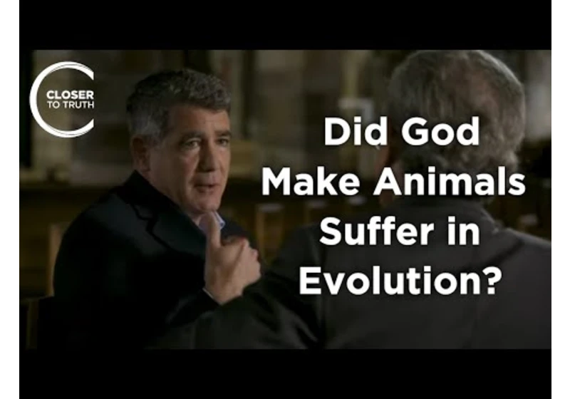 Michael Murray - Did God Make Animals Suffer in Evolution?