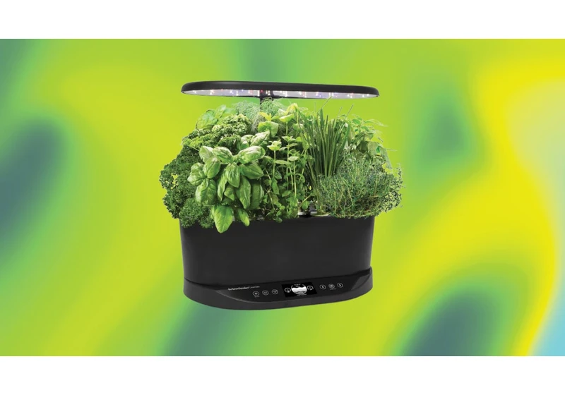 Grow Fresh Veggies and Herbs on Your Kitchen Counter With This Hydroponic Garden, Now 50% Off