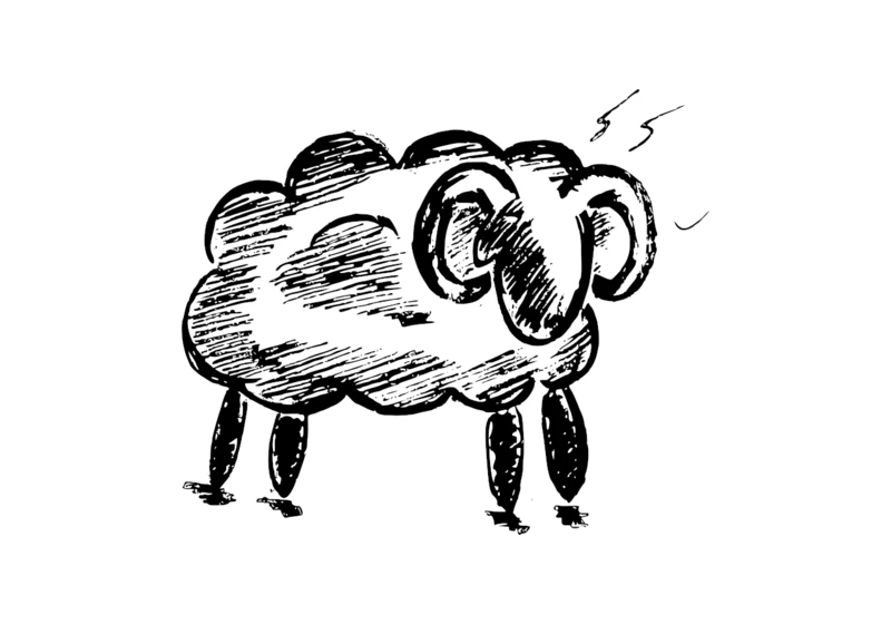 BlackSheep: Fast ASGI web framework for Python