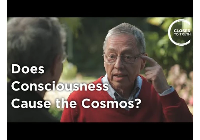 Lothar Schafer - Does Consciousness Cause the Cosmos?