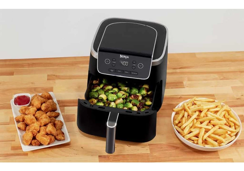 Cook healthier food with the Ninja Air Fryer Pro for $90