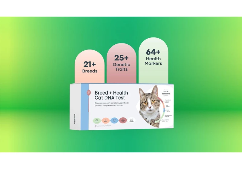 Curious About Your Cat's Health? Try This DNA Test Kit on Sale at Amazon for Nearly 50% Off