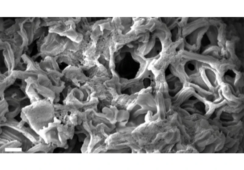  11 basketball courts in 1 teaspoon: this new material, borne from the space age, could hold the key to next-generation batteries and ultra small power cells 