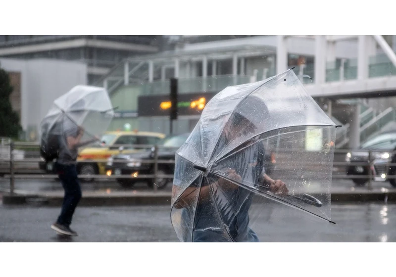 Google's AI weather prediction model is pretty darn good