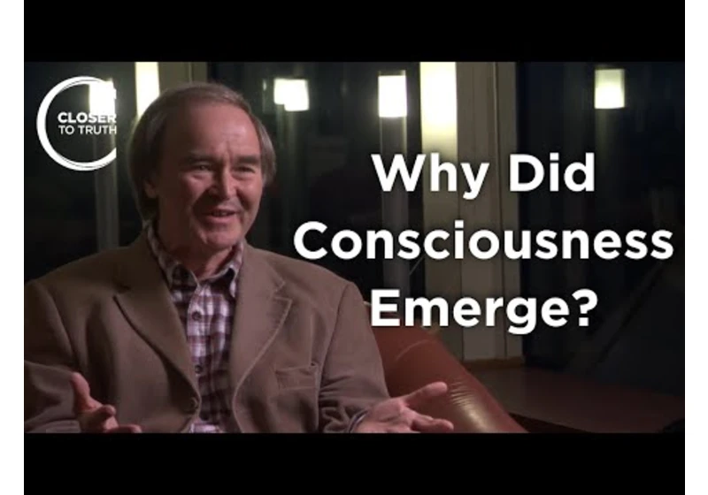 Bernard Carr - Why Did Consciousness Emerge?