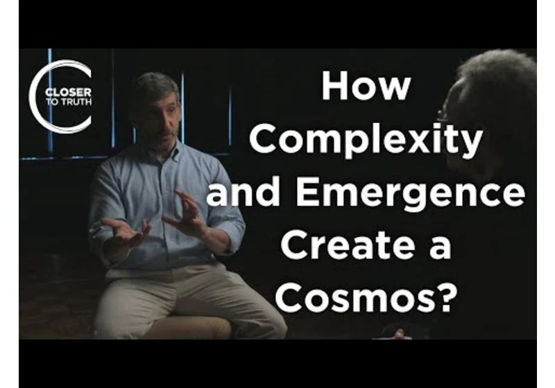 Neil Theise - How Do Complexity and Emergence Create a Cosmos?