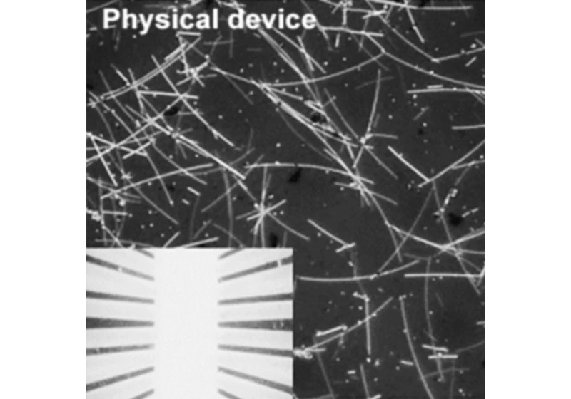 Chuchvalce nanodrátků stříbra zvládají učení a paměť podobně jako mozek