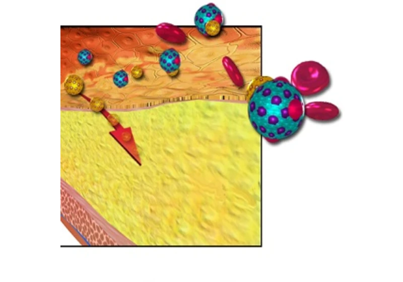 Hladina lipoproteínu (a) - ďalší cieľ prevencie srdcovocievnych ochorenízdr