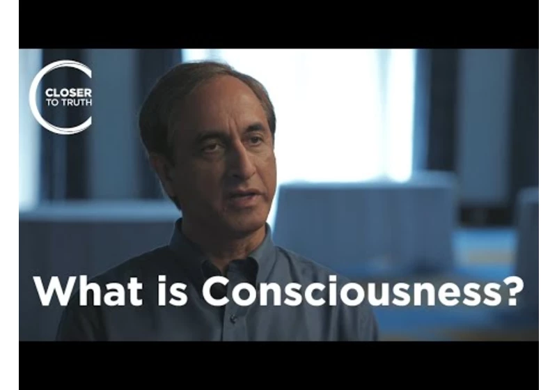 Subhash Kak - What is Consciousness?