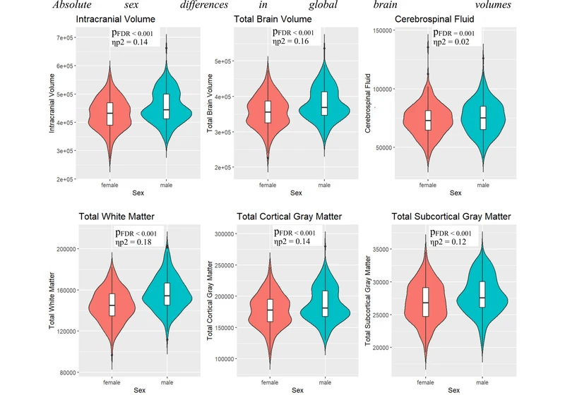 Male and female brains differ at birth