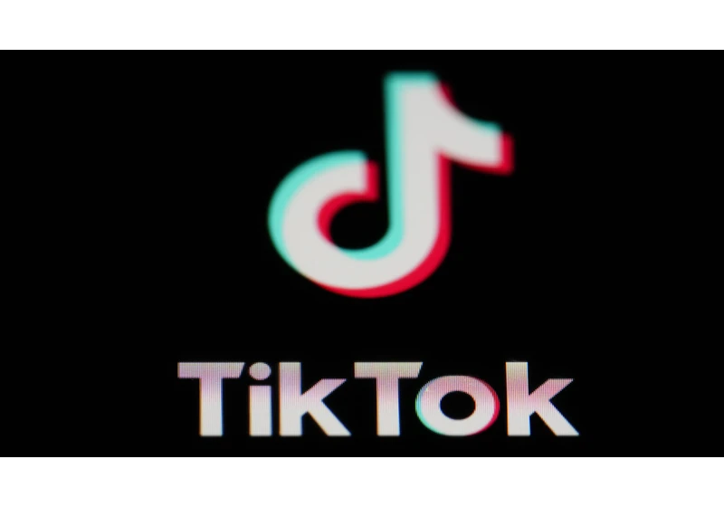 ‘He will deliver’: Trump’s plans to save TikTok remain unclear