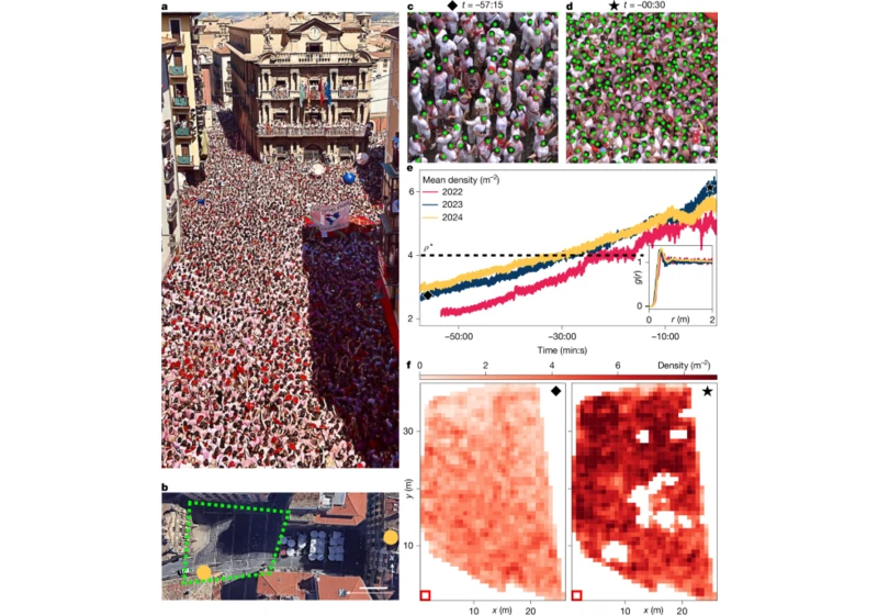 Emergence of collective oscillations in human crowds