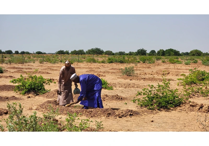 Three-quarters of the land is drying out, 'redefining life on Earth'