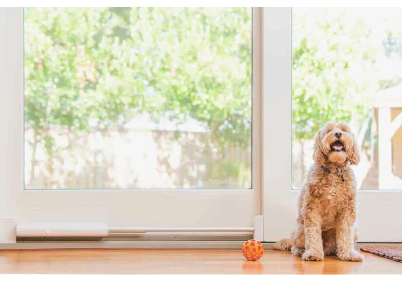 Wayzn Smart Pet Door review: This motorized device lets Fido open the sliding door himself 